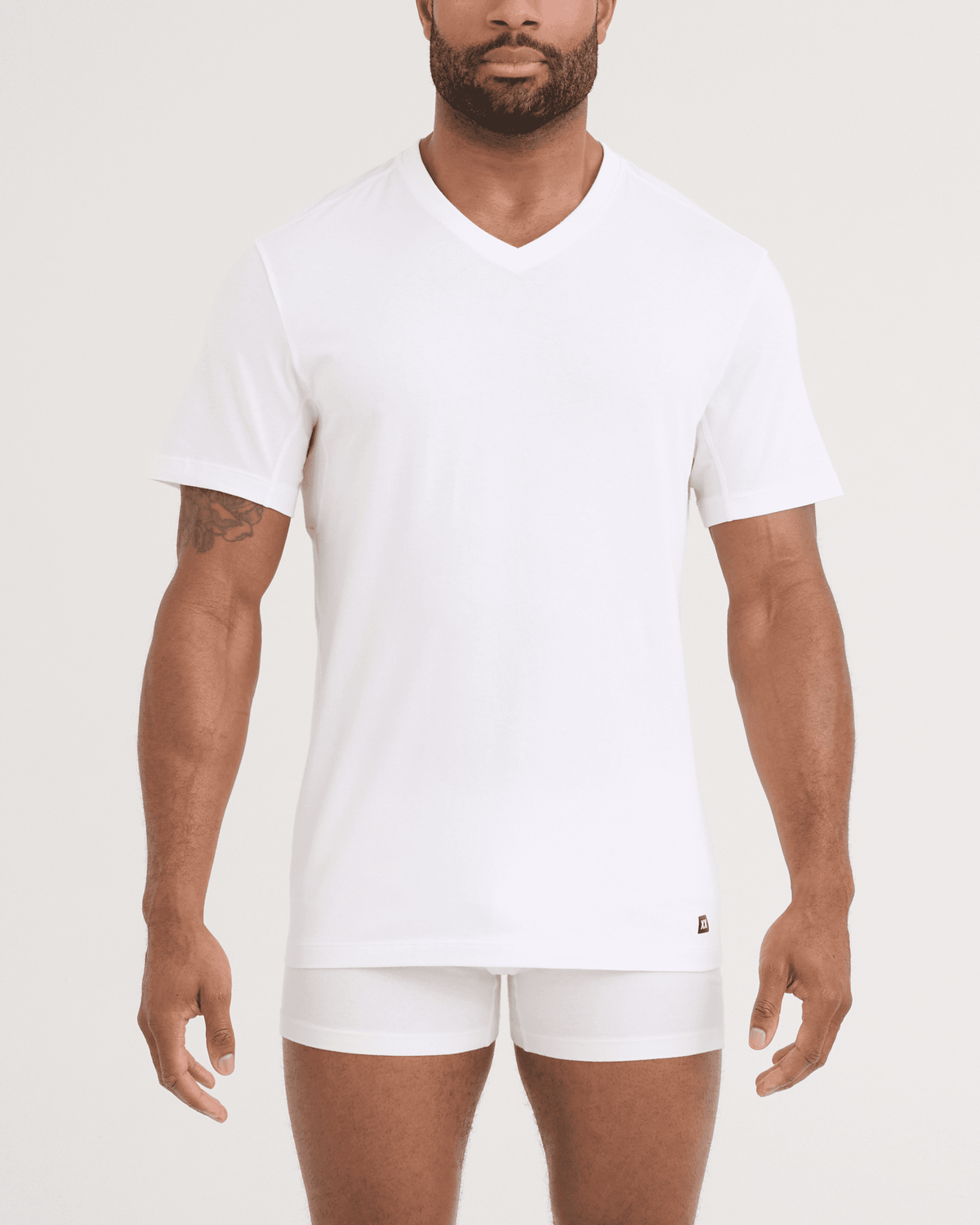Front - Model wearing DropTemp Dry Cotton Short Sleeve V-Neck 2 Pack in White