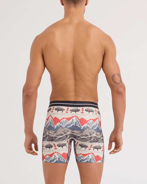 Back - Model wearing Volt Breathable Mesh Boxer Brief in Hiking Sweater-Cream