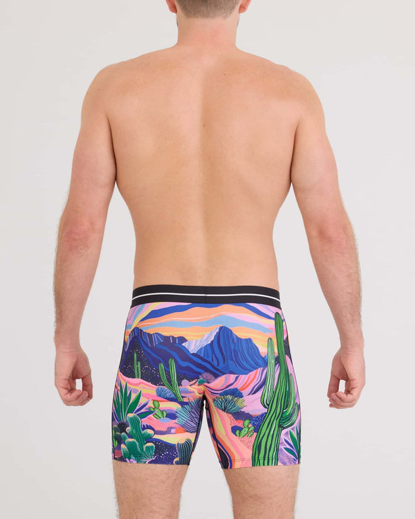 Back - Model wearing Volt Breathable Mesh Boxer Brief in Prickly Paradise-Multi