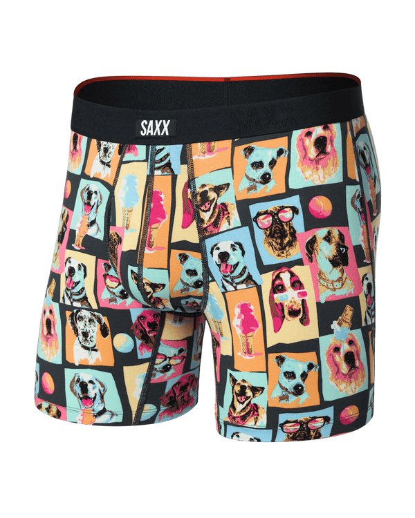 Front of Vibe Xtra Soft Comfort Boxer Brief Fly in Summer Dogs Of Saxx-Multi
